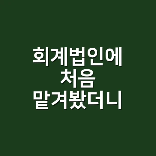 회계법인에 처음 맡겨봤더니, 숫자보다 먼저 보인 것들 - 요약