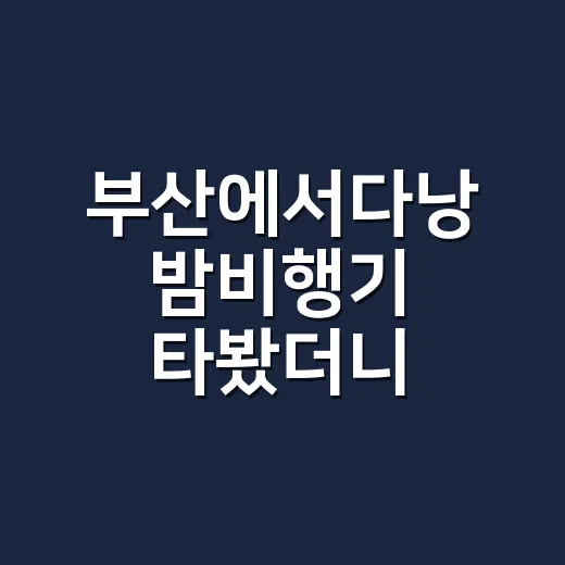 부산에서다낭 밤비행기 타봤더니, 생각보다 챙길 게 많았다 - 요약