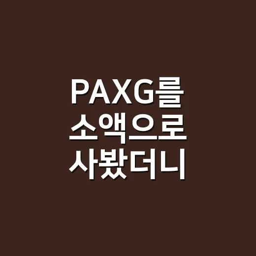 PAXG를 소액으로 사봤더니, 금 투자 같으면서도 달랐던 이야기 - 요약