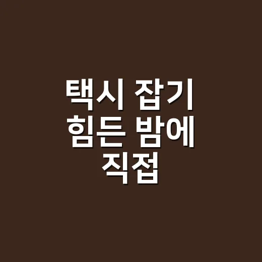 택시 잡기 힘든 밤에 직접 비교해봤더니, 의외로 돈보다 시간이 문제였다 - 요약