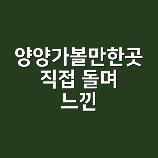 양양가볼만한곳 직접 돌며 느낀, 바다만 보고 오기엔 아까웠던 하루 - 요약