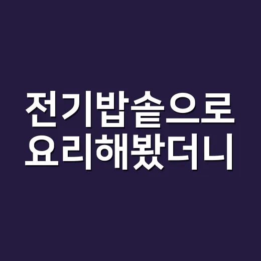 전기밥솥으로 요리해봤더니, 정말 편리하더라고요! - 요약