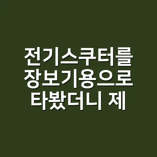 전기스쿠터를 장보기용으로 타봤더니 제일 먼저 보인 현실적인 문제들 - 요약
