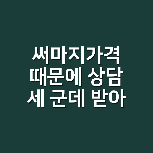 써마지가격 때문에 상담 세 군데 받아봤더니 보인 진짜 차이 - 요약