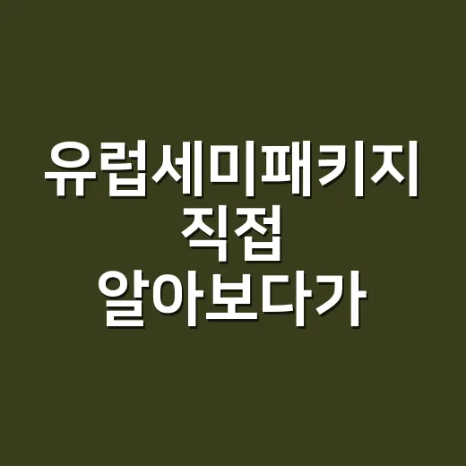유럽세미패키지 직접 알아보다가 느낀 자유여행과 패키지 사이의 진짜 차이 - 요약