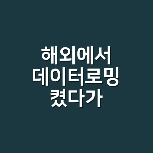 해외에서 데이터로밍 켰다가 식겁해서 직접 바꾼 사용법 - 요약