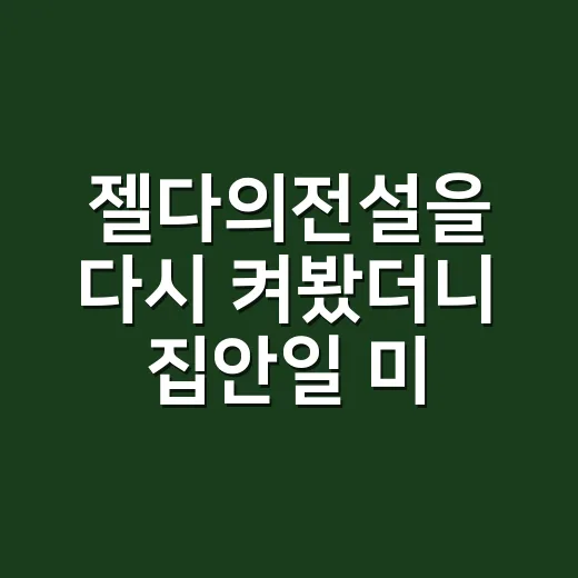 젤다의전설을 다시 켜봤더니 집안일 미루는 습관이 보였다 - 요약