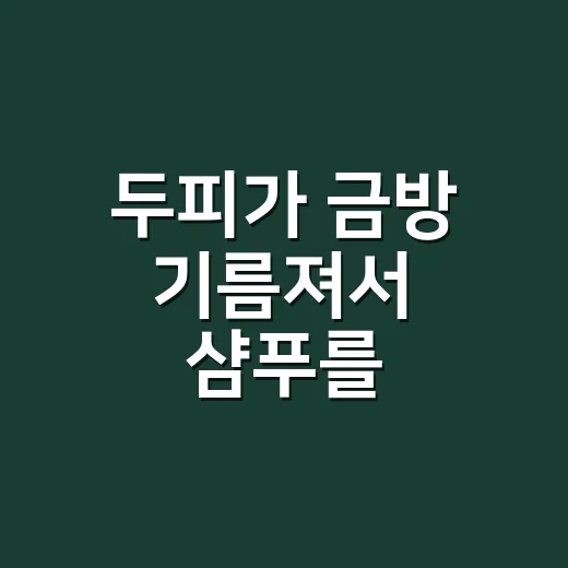 두피가 금방 기름져서 샴푸를 바꿔봤더니 알게 된 샴푸추천 기준 - 요약