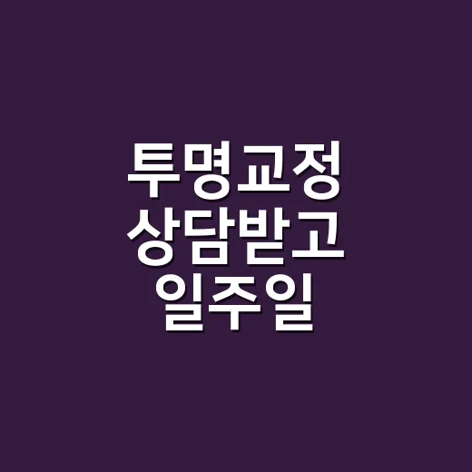 투명교정 상담받고 일주일 계산해봤더니, 생각보다 생활형 장비였다 - 요약