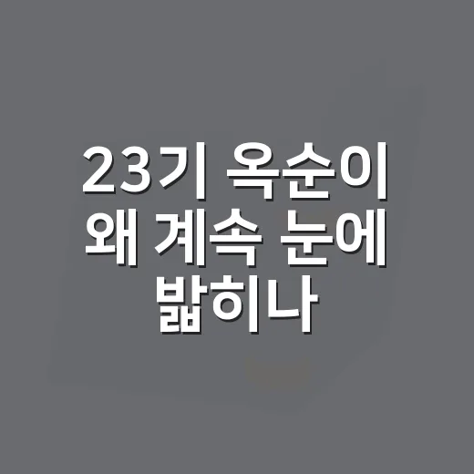 23기 옥순이 왜 계속 눈에 밟히나 싶어 다시 짚어본 후기 - 요약