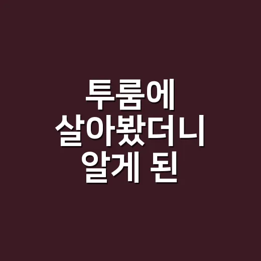 투룸에 살아봤더니 알게 된, 방 하나 더 있다는 말의 진짜 의미 - 요약