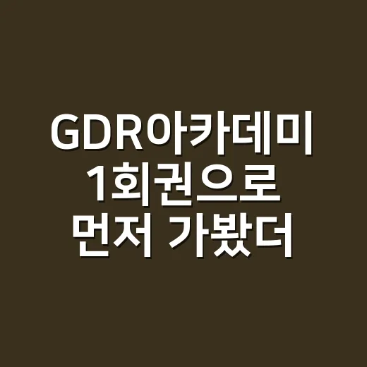 GDR아카데미 1회권으로 먼저 가봤더니, 초보가 신경 쓰인 건 따로 있었다 - 요약