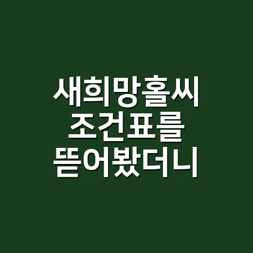 새희망홀씨 조건표를 뜯어봤더니, 먼저 봐야 할 건 한도가 아니었다 - 요약