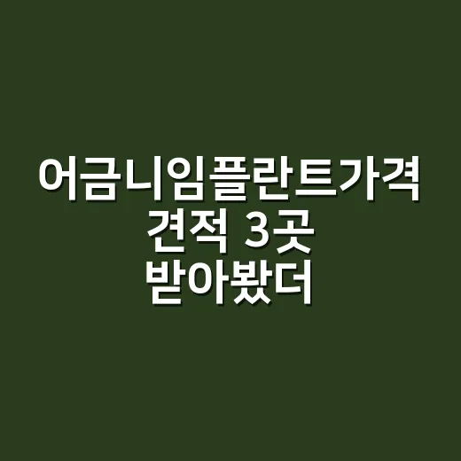 어금니임플란트가격 견적 3곳 받아봤더니 달랐던 진짜 이유 - 요약