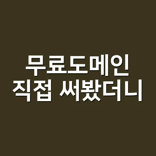 무료도메인 직접 써봤더니, 공짜 주소가 다 같은 공짜는 아니었다 - 요약