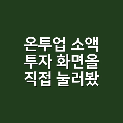 온투업 소액 투자 화면을 직접 눌러봤더니 보인 것들 - 요약