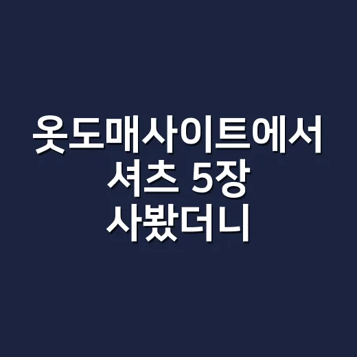 옷도매사이트에서 셔츠 5장 사봤더니 싸게 사는 기준이 달라졌다 - 요약