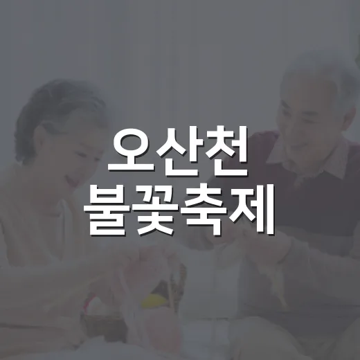오산천 불꽃축제, 그냥 갔다가 고생하지 않게 동선부터 챙겨본 후기 - 요약