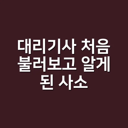 대리기사 처음 불러보고 알게 된 사소하지만 중요한 것들 - 요약