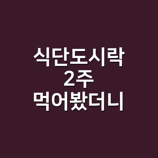 식단도시락 2주 먹어봤더니 점심 고민은 줄고 뜻밖의 문제가 보였다 - 요약