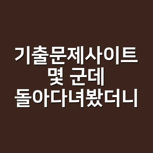 기출문제사이트 몇 군데 돌아다녀봤더니, 오래 쓰는 곳은 따로 있었다 - 요약