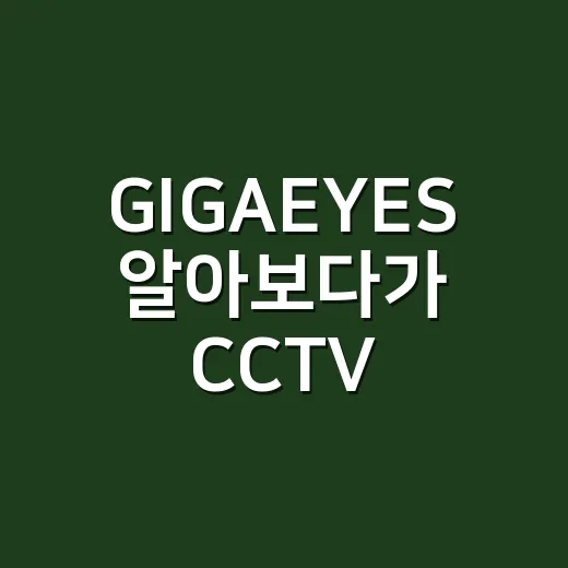 GIGAEYES 알아보다가 CCTV 고를 때 진짜 따져본 것들 - 요약