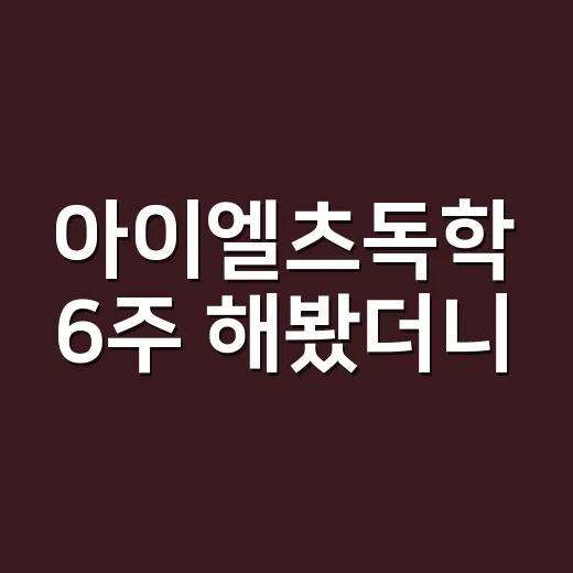 아이엘츠독학 6주 해봤더니, 점수보다 먼저 바뀐 공부 습관 - 요약