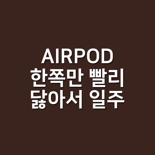 AIRPOD 한쪽만 빨리 닳아서 일주일 직접 굴려본 후기 - 요약