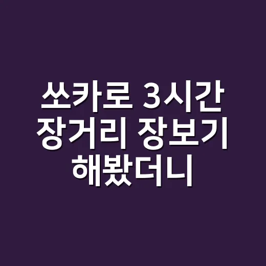쏘카로 3시간 장거리 장보기 해봤더니, 생각보다 돈 새는 지점이 보였다 - 요약