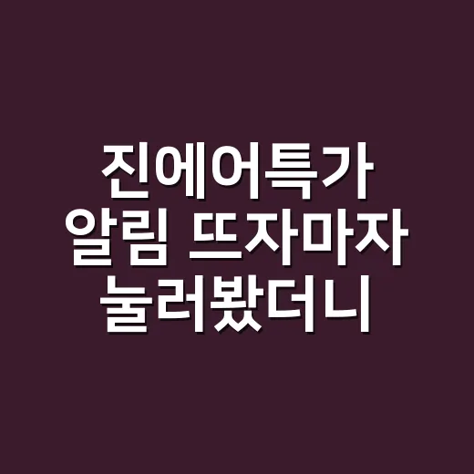 진에어특가 알림 뜨자마자 눌러봤더니, 싸게 사는 사람들은 따로 보고 있었다 - 요약