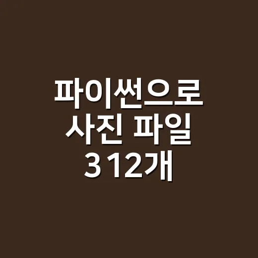 파이썬으로 사진 파일 312개 이름을 바꿔봤더니 생긴 일 - 요약