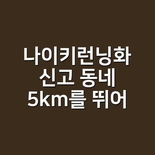 나이키런닝화 신고 동네 5km를 뛰어봤더니, 발이 먼저 알려준 선택 기준 - 요약