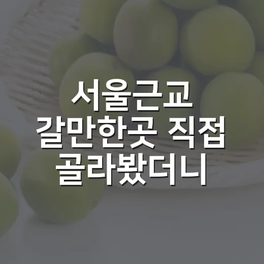 서울근교 갈만한곳 직접 골라봤더니, 주말 하루가 덜 아까웠던 코스 5곳 - 요약