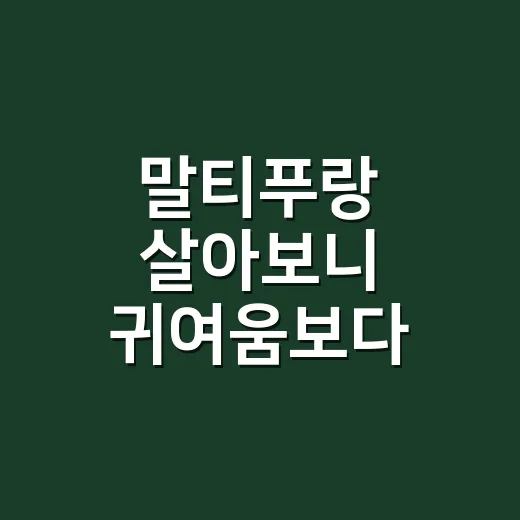 말티푸랑 살아보니 귀여움보다 먼저 보인 현실 후기 - 요약