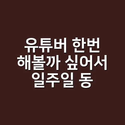 유튜버 한번 해볼까 싶어서 일주일 동안 준비해봤더니 - 요약