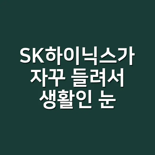 SK하이닉스가 자꾸 들려서 생활인 눈으로 파고들어본 후기 - 요약