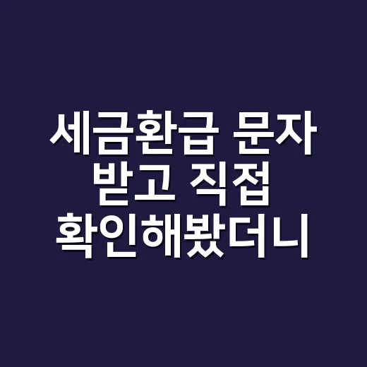 세금환급 문자 받고 직접 확인해봤더니, 돈보다 먼저 봐야 할 것들 - 요약