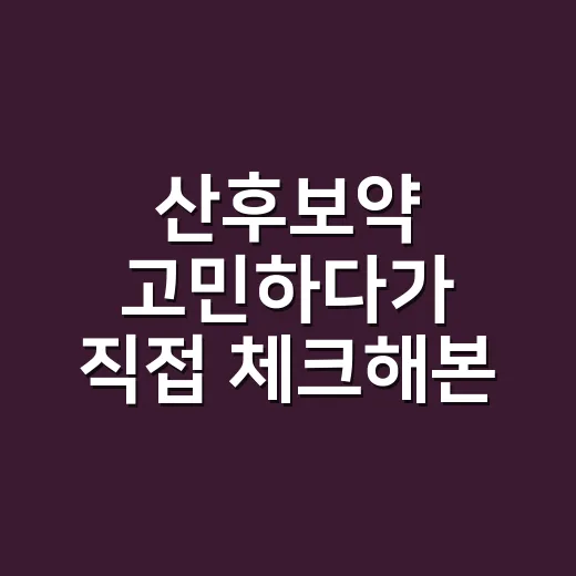 산후보약 고민하다가 직접 체크해본 현실적인 선택 기준 - 요약