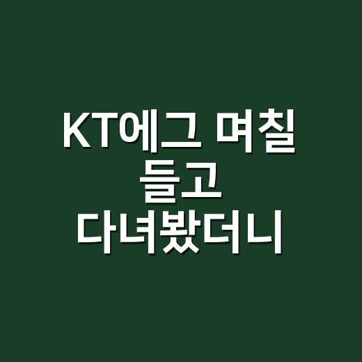 KT에그 며칠 들고 다녀봤더니, 테더링보다 편했던 순간과 애매했던 순간 - 요약