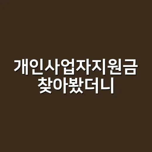 개인사업자지원금 찾아봤더니, 진짜 돈 되는 건 따로 있었다 - 요약