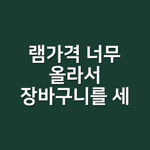램가격 너무 올라서 장바구니를 세 번 비운 이야기 - 요약