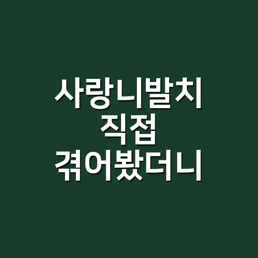 사랑니발치 직접 겪어봤더니 제일 힘든 건 뽑는 순간보다 그다음 3일이었다 - 요약