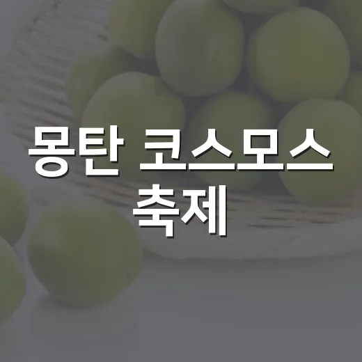몽탄 코스모스 축제, 이틀짜리 가을 꽃길을 일부러 찾아갈 만한지 따져봤다 - 요약