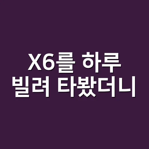 X6를 하루 빌려 타봤더니, 멋보다 먼저 보인 현실적인 부분들 - 요약