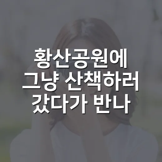 황산공원에 그냥 산책하러 갔다가 반나절이 사라진 후기 - 요약