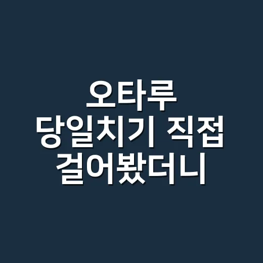 오타루 당일치기 직접 걸어봤더니, 예쁜데 체력 계산이 더 중요했다 - 요약