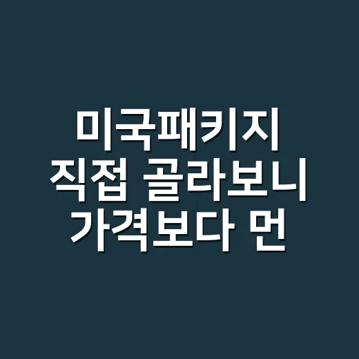 미국패키지 직접 골라보니 가격보다 먼저 봐야 할 게 있더라 - 요약