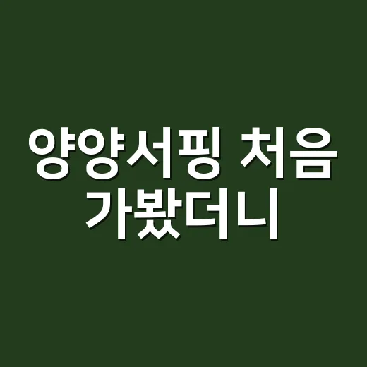 양양서핑 처음 가봤더니, 파도보다 먼저 챙겨야 할 것들이 보였다 - 요약