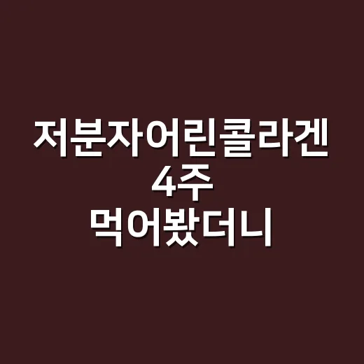 저분자어린콜라겐 4주 먹어봤더니 느낀 진짜 변화 - 요약