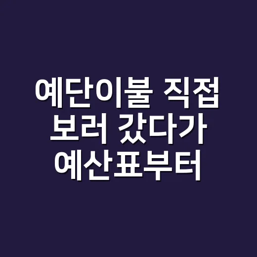 예단이불 직접 보러 갔다가 예산표부터 다시 쓴 이야기 - 요약